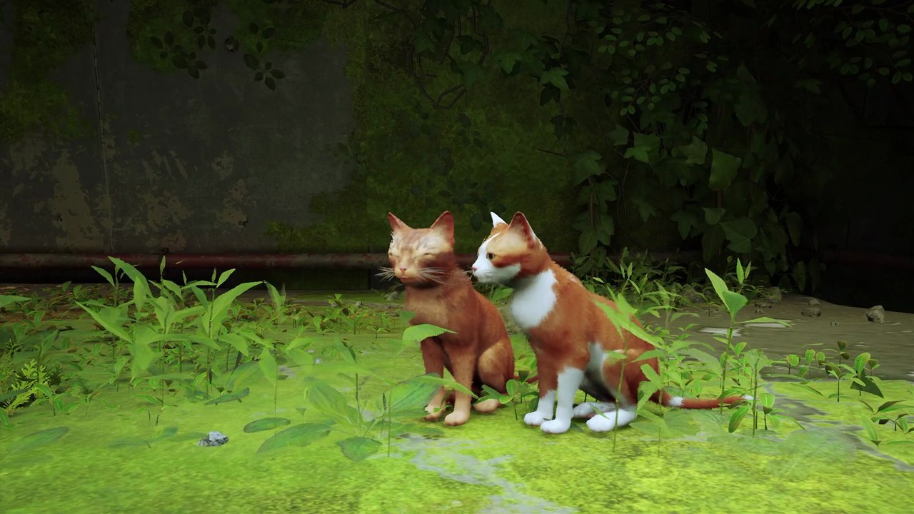 Stray Gameplay