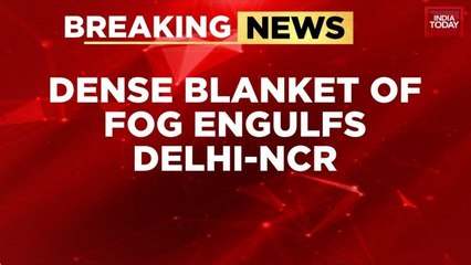 Delhi NCR Wakes Up To Dense Fog And Severe Air Quality As GRAP-4 Restrictions Kick In