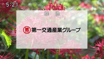 日本のチカラ #455 まきうち夫婦の全力人生 ～山のスーパー繁盛記～