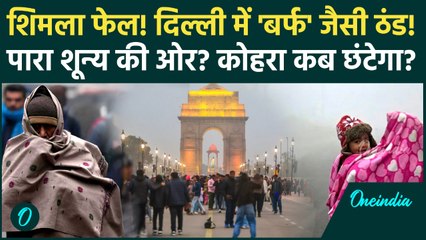 Delhi Weather Update: दिन में अंधेरा! Delhi-NCR में 0 Visibility, कोहरे ने तोड़े सारे रिकॉर्ड | IMD