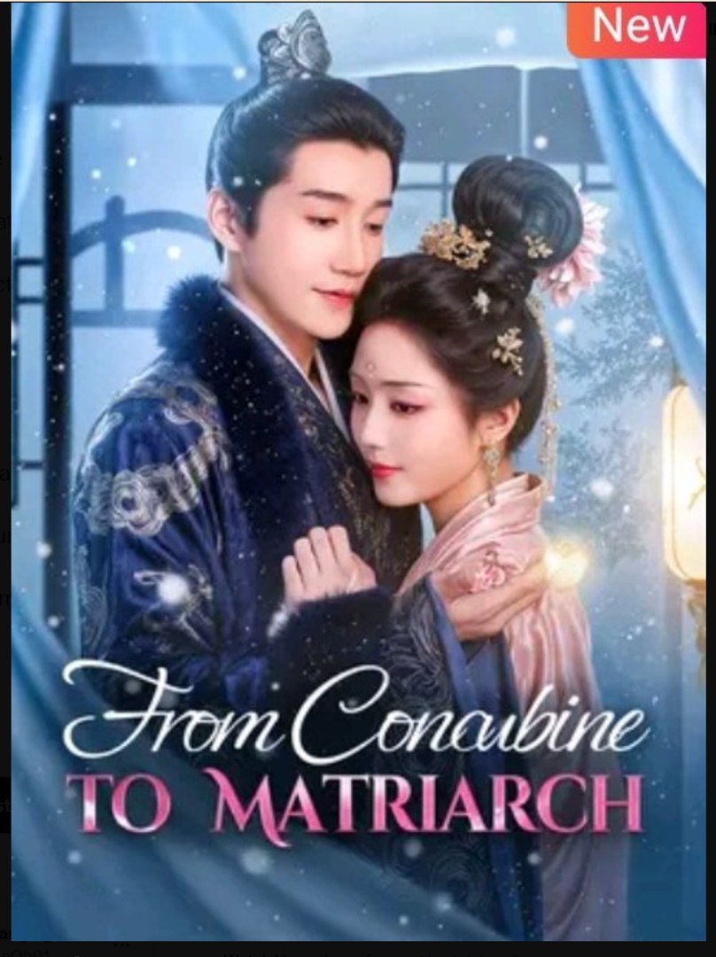 ⁣From Concubine to Matriarch Chinese Drama - English Sub