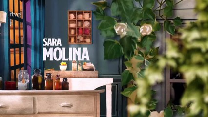 La Promesa - Capitulo 733