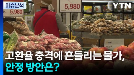 고환율 충격에 흔들리는 물가, 안정 방안은? / YTN