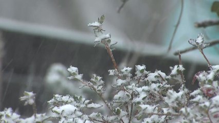 [날씨] 종일 찬 바람, 호남·제주 눈비...내일 아침까지 반짝 추위 / YTN