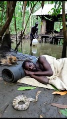 Sleeping Man Attacked by Giant Anaconda – Dog Fights Back! 🐕‍🦺🐍