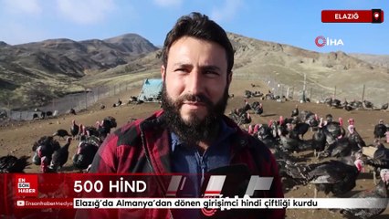 Elazığ’da Almanya’dan dönen girişimci hindi çiftliği kurdu