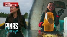 Cheska Fausto, susubukang gumawa ng crab paste!  |  Pinas Sarap