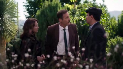 Divlje pčele epizode 11 i 12