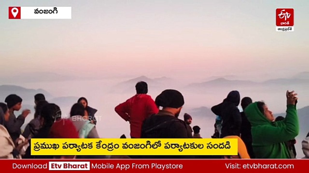 వంజంగిలో మేఘాల సందడి - పర్యాటకుల కేరింతలు