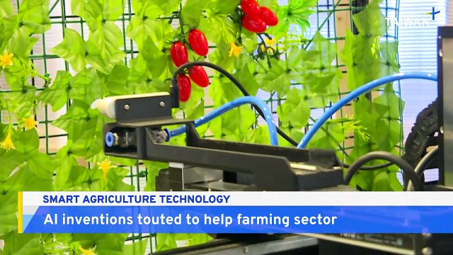 Taiwan Applies AI to Agriculture Sector to Tackle Labor Shortage