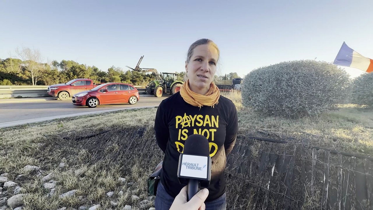 Interview de Morgane Bara, éleveuse et porte parole de la Confédération paysanne 34