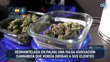Desmantelada en Palma una falsa asociación cannabica que vendía drogas a sus clientes