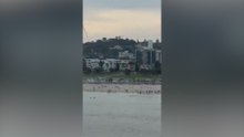 Panic Erupts as People Flee Beach During Shooting Scare in Australia