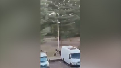 Hero Disarms Shooter, Snatches Shotgun During Australia Beach Attack