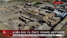 Kayseri'de 4 bin 500 yıl önce meyveler kurutularak yenmiş