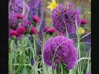 Cross over the bridge- Tony Brent  [COLUMBIA]78rpm