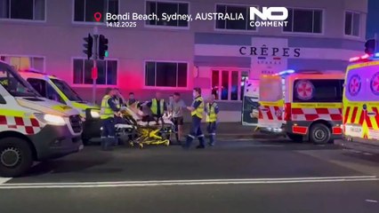 Sydney : au moins 12 morts à Bondi Beach dans une fusillade visant la communauté juive