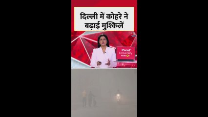 दिल्ली एनसीआर में प्रदूषण और कोहरे का खतरनाक स्तर