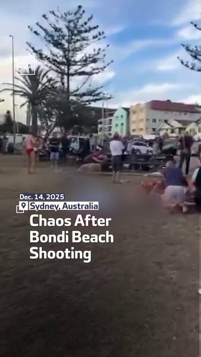 Chaos After Bondi Beach Shooting