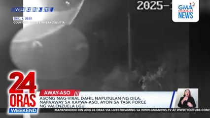 Asong nag-viral dahil naputulan ng dila, napaaway sa kapwa-aso, ayon sa Task Force ng Valenzuela LGU | 24 Oras Weekend