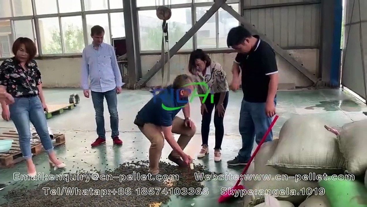 Animal Feed Pellet Machine Trial Run | Stable Output, Uniform Pellets, Real Performance Test