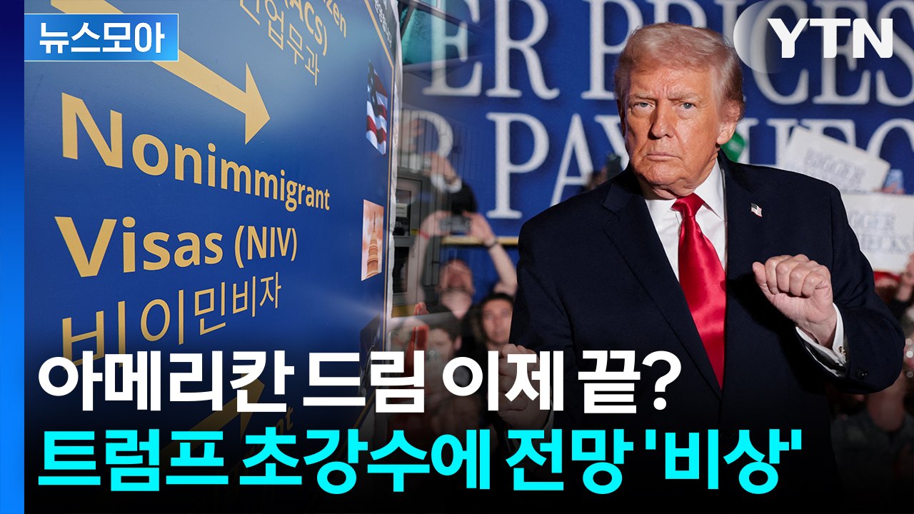 [뉴스모아] 미국 가는데 이렇게까지? 트럼프 초강수에 전방위 ‘비상’ / YTN