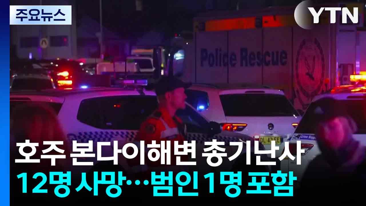 시드니 본다이 해변 총기 테러로 11명 사망...용의자 1명 사살 / YTN