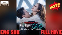 My Perfect CEO Husband in Training Chinese Drama - English Sub