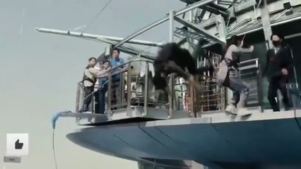 Top 10 Asian Action Movies of 2025