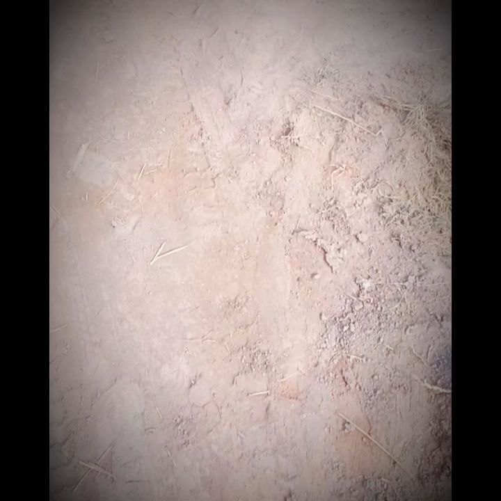 islamic videos