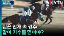 [주간 경마] 짙은 안개 속 경주...말이 기수를 믿어야? / YTN