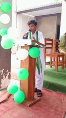 celebrate independence day 2022#school #pakistan #students #decent #sindh #independenceday #speech
