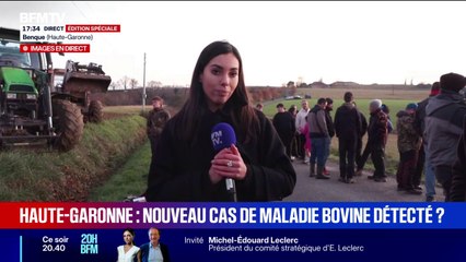 Plusieurs vaches testées en Haute-Garonne pour une suspicion de nouveaux cas de dermatose bovine