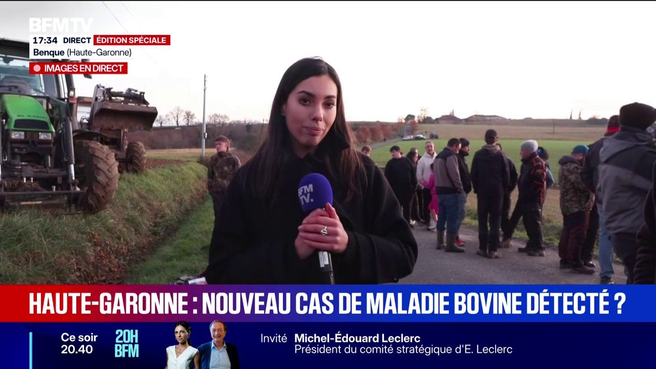 Plusieurs vaches testées en Haute-Garonne pour une suspicion de nouveaux cas de dermatose bovine