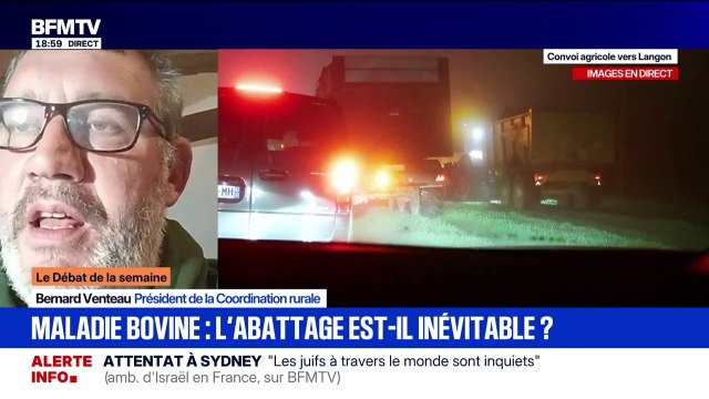 Dermatose bovine: pour Bernard Ventaux, président de la Coordination rurale, Annie Genevard ne va pas bouger d'une oreille sur l'abattage des troupeaux par précaution