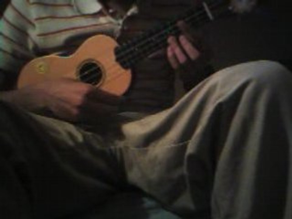 La métamorphose de mister chat dionysos (ukulélé cover)