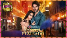 El Zorro Plateado