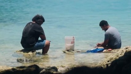 Refugiados climáticos de Tuvalu: un tercio de su población solicita visas climáticas a Australia