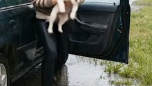 Kind-Hearted Man Rescues Puppies in Heavy Rain on the Roadside 🛣️🐾✨