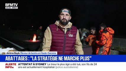 Dermatose bovine: "Ce n'est pas dénigrant de changer de stratégie, c'est une forme de grandeur", assure Jérôme Bayle, éleveur de bovins