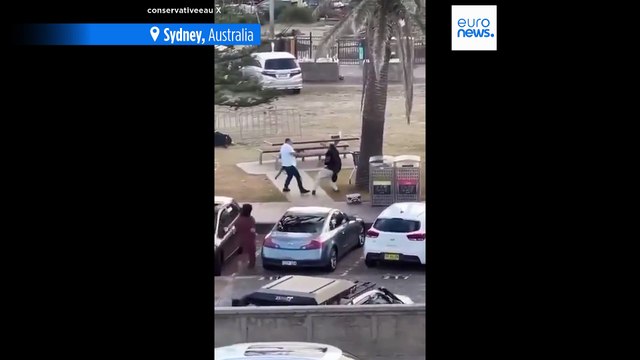 Fruit shop owner hailed as hero after disarming Bondi Beach gunman