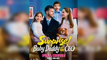 Surprise Baby Daddy Is The Ceo