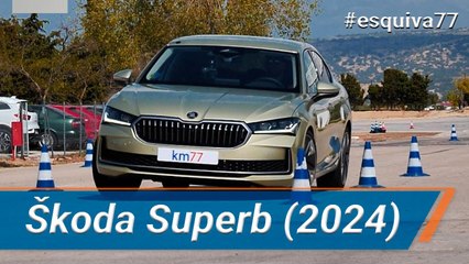 Škoda Superb 2024 - Maniobra de esquiva (moose test) y eslalon | km77.com