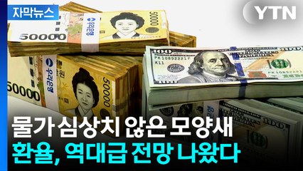[자막뉴스] 연평균 환율 역대 최고 전망...물가 심상치 않은 모양새 / YTN