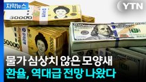 [자막뉴스] 연평균 환율 역대 최고 전망...물가 심상치 않은 모양새 / YTN