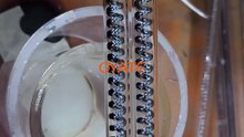 1000W Quartz Infrared Heater Parts 1000w Quartz Infrared Heater Parts for Blowing Machines