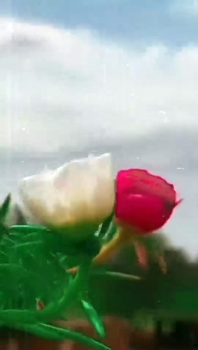 jane is _️ ka hal kya hoga____480_1762327028954