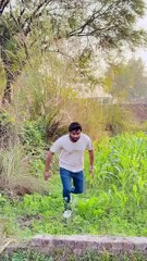 ShaDi k liye dekhne aaye hain