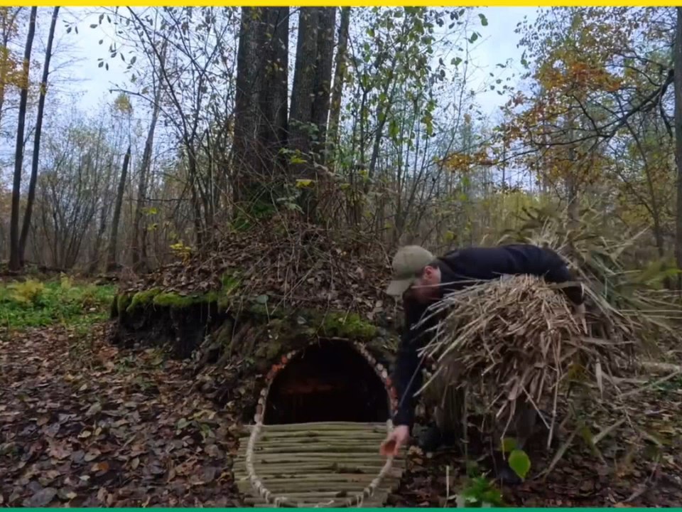 Deep in the wild jungle I build an underground shelter using only nature and instinct This raw survival experience shows how patience awareness and respect for nature help survive where wildlife rules
