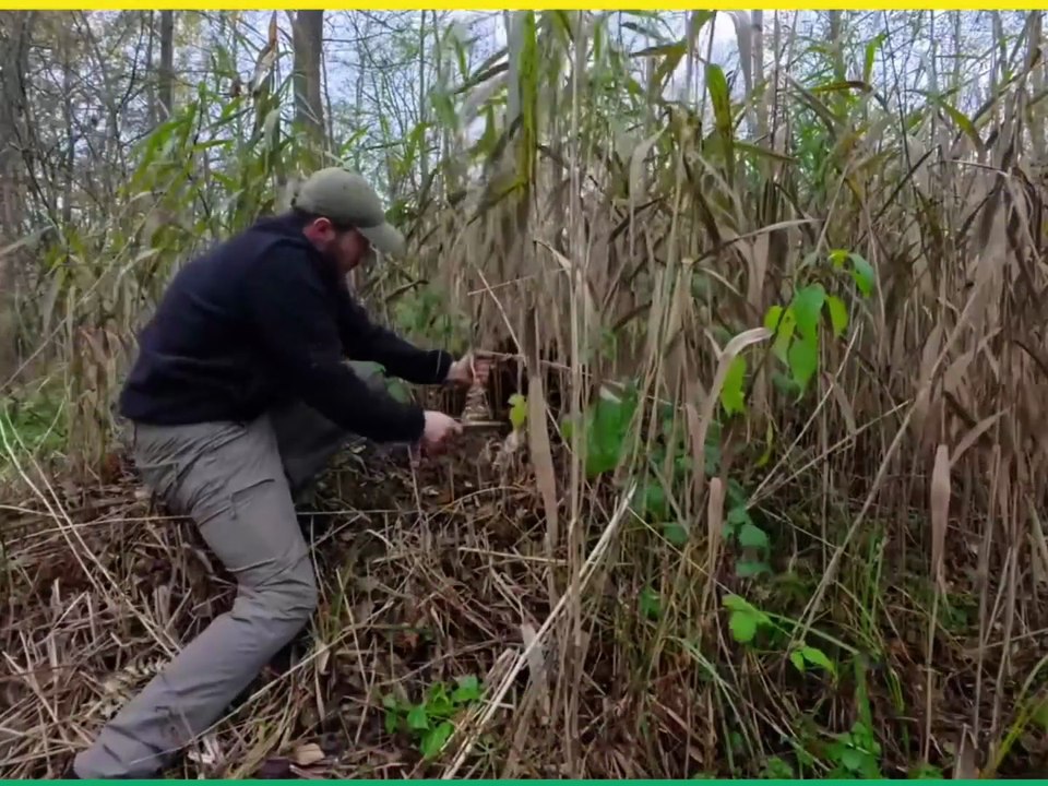 Night Survival in Deep Wilderness
